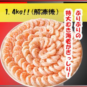 ふるさと納税 蒲郡市 特大むきエビ　1.4kg(正味)_【G0334】