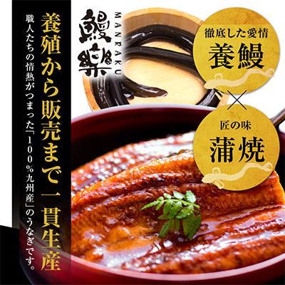 ふるさと納税 宮崎市 【さとふる限定】九州産　うなぎ蒲焼4尾(計520g) |  | 02