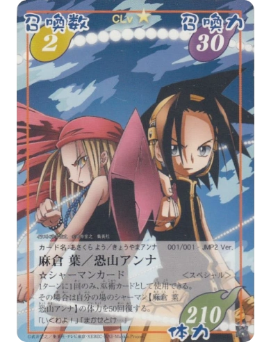  Shaman King 